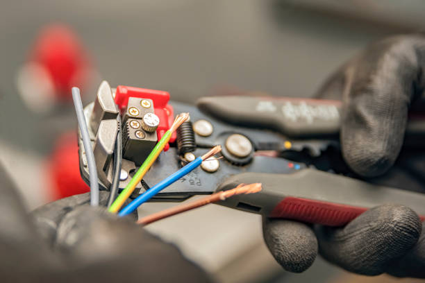 Best Affordable Electrician  in Pine Island, MN